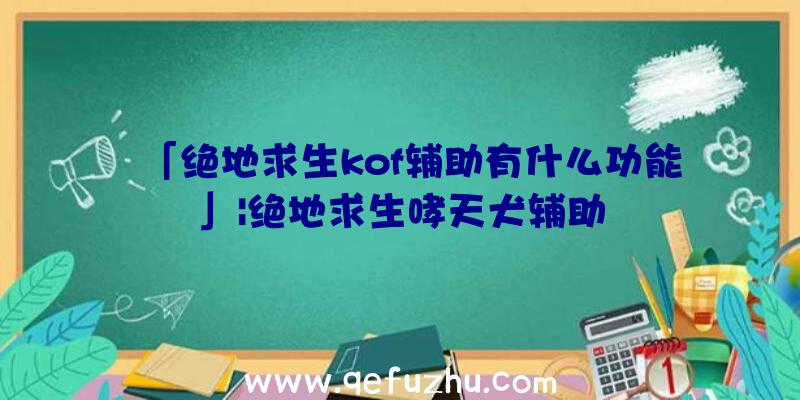 「绝地求生kof辅助有什么功能」|绝地求生哮天犬辅助